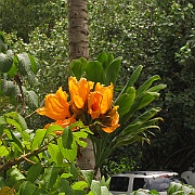 Picture 029